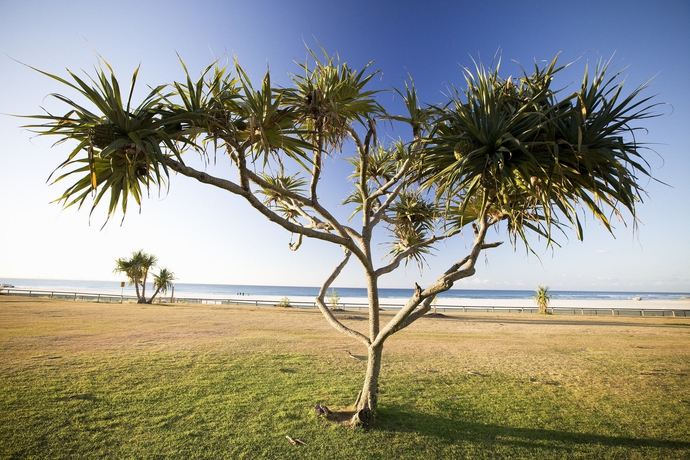 Imagen de los exteriores del Hotel Mantra Coolangatta Beach. Foto 11
