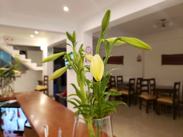 Imagen de los interiores del Hotel Mantu Boutique. Foto 18