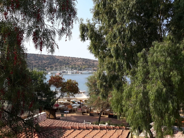 Imagen de los exteriores del Hotel Manuela, Bodrum. Foto 11