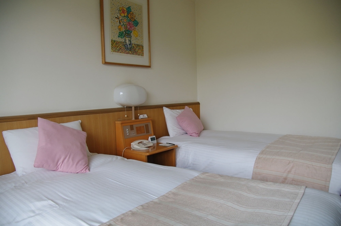 Imagen de la habitación del Hotel Manza Prince. Foto 13