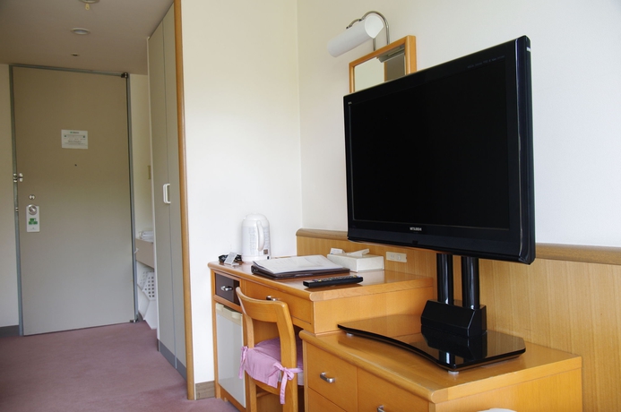 Imagen de la habitación del Hotel Manza Prince. Foto 15