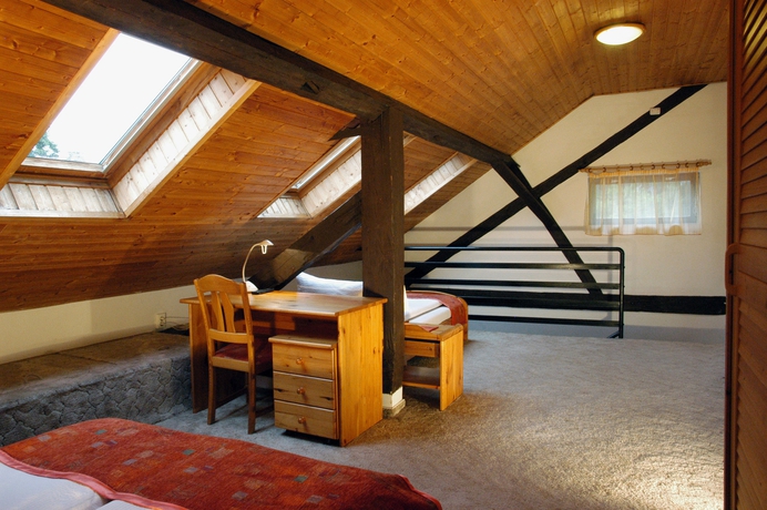 Imagen de la habitación del Hotel Manzard Panzio. Foto 3