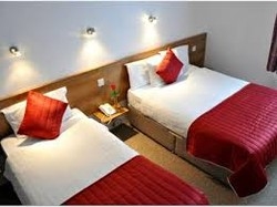 Imagen de la habitación del Hotel Maple, Dubl&iacute;n. Foto 4