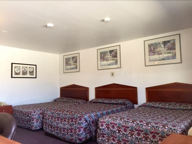 Imagen de la habitación del Hotel Maple Inn and Suites. Foto 5