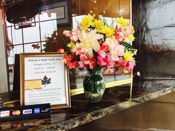 Imagen de los interiores del Hotel Maple Inn and Suites. Foto 17