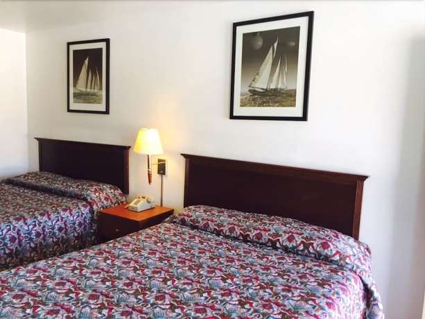 Imagen de la habitación del Hotel Maple Inn and Suites. Foto 8