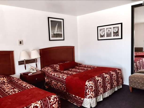 Imagen de la habitación del Hotel Maple Inn and Suites. Foto 15