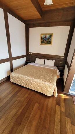 Imagen general del Hotel Maple Leaf Holiday Villa. Foto 3