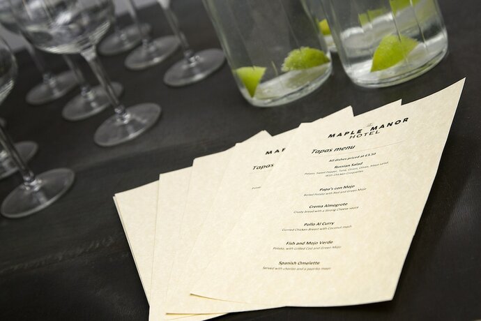 Imagen general del Hotel Maple Manor. Foto 2