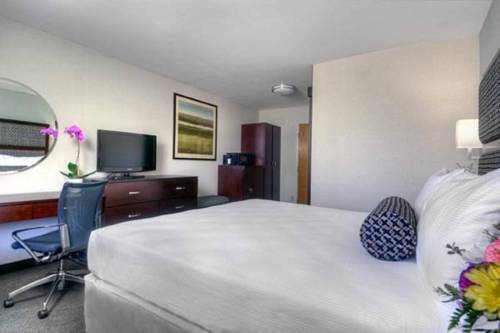 Imagen de la habitación del Hotel Maple Tree Inn. Foto 3