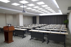 Imagen de los interiores del Hotel Maple leaf Modern. Foto 4