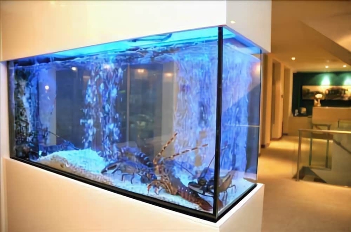 Imagen del bar/restaurante del Hotel Mar Bravo. Foto 8