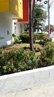 Imagen general del Hotel Mar Del Plata, El Bosque. Foto 14