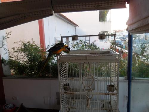 Imagen general del Hotel Mar e Sol VNMF by Umbral. Foto 13