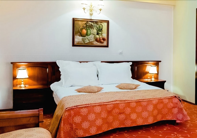 Imagen de la habitación del Hotel Mara, Baia Mare. Foto 13