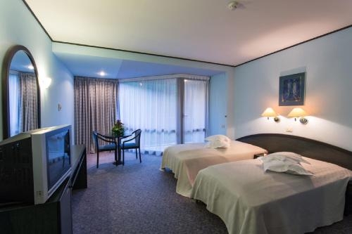 Imagen de la habitación del Hotel Mara, SINAIA. Foto 6