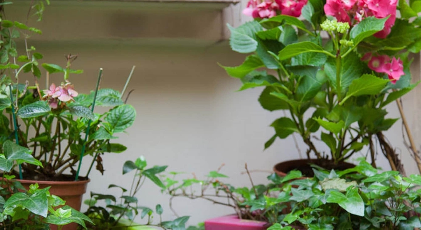 Imagen de los interiores del Hotel Marais de Launay. Foto 18