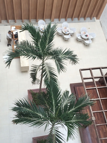 Imagen de los interiores del Hotel Marano. Foto 12