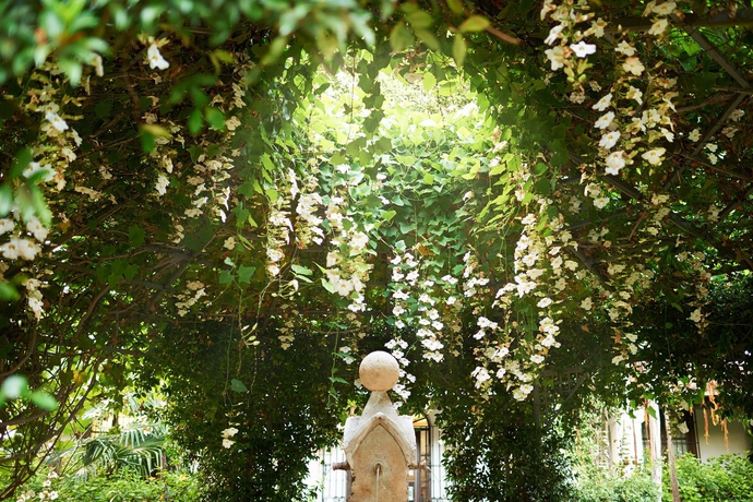 Imagen de los exteriores del Hotel Marbella Club Golf Resort and Spa. Foto 11