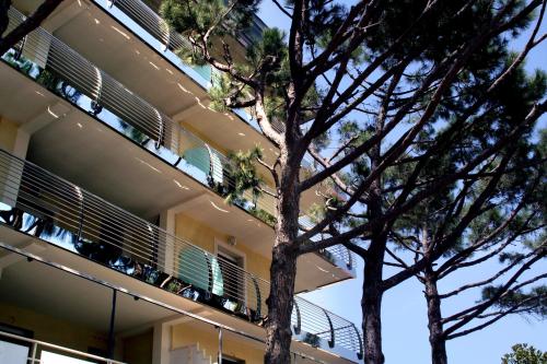 Imagen general del Hotel Marbella, Pinarella di Cervia. Foto 4