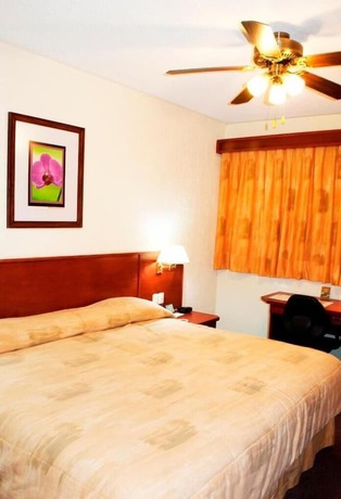 Imagen de la habitación del Hotel Marcella Clase Ejecutiva. Foto 18
