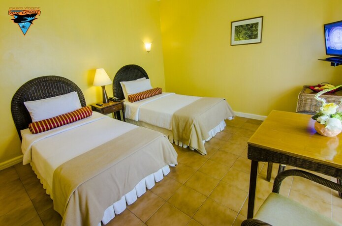 Imagen de la habitación del Hotel Marco Vincent Dive Resort. Foto 34