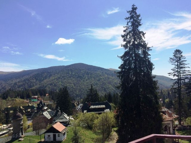 Imagen de la habitación del Hotel Marea Neagra, SINAIA. Foto 13