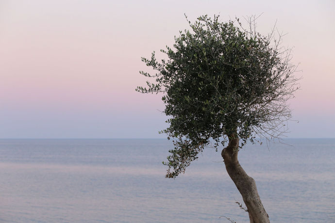 Imagen de la habitación del Hotel Mareggio Exclusive Residences and Suites. Foto 3