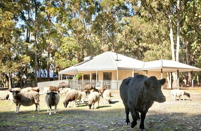 Imagen general del Hotel Margaret River Hideaway. Foto 3