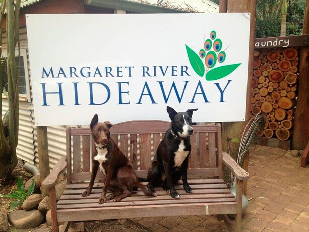 Imagen de los interiores del Hotel Margaret River Hideaway. Foto 28
