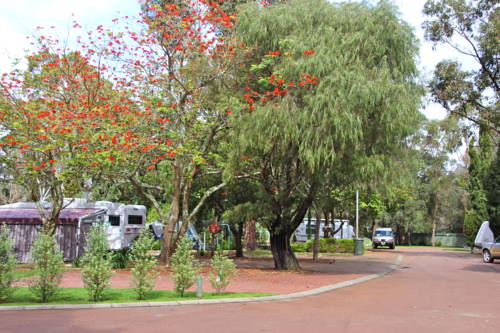 Imagen de la habitación del Hotel Margaret River Tourist Park. Foto 5