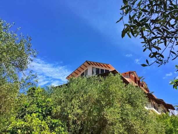 Imagen general del Hotel Margarita Apartments. Foto 10