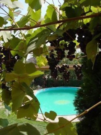 Imagen de la piscina del Hotel Margarita, Trakata. Foto 19