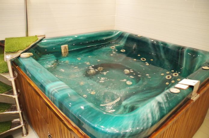 Imagen de la piscina del Hotel Mari Vila Hotel Bucharest, BW Premier Collection. Foto 20