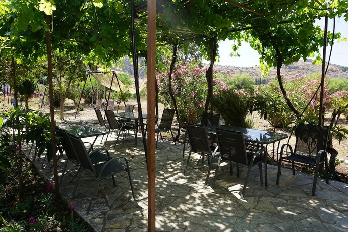 Imagen general del Hotel MariRena plaz. Foto 16
