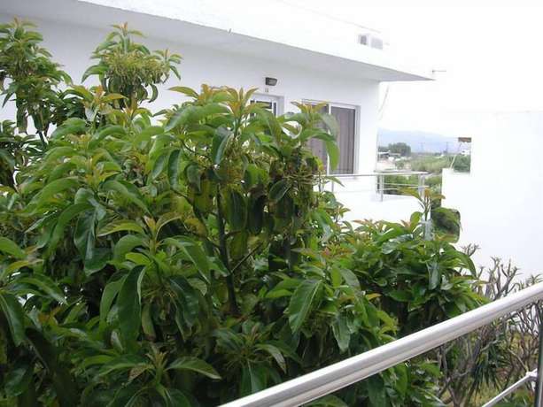 Imagen de los exteriores del Hotel Maria Studios and Apartments. Foto 15