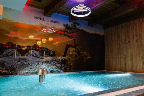 Imagen general del Hotel Maria & Spa Pieniny. Foto 9