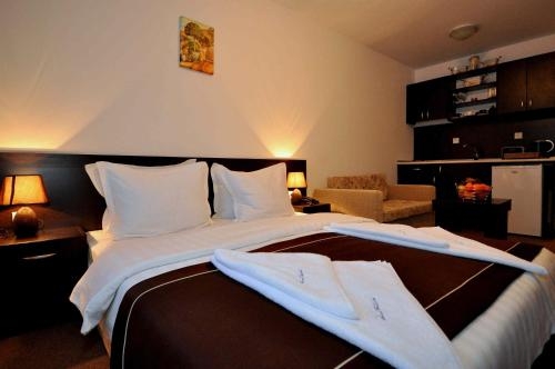 Imagen de la habitación del Hotel Maria-antoaneta Residence. Foto 7