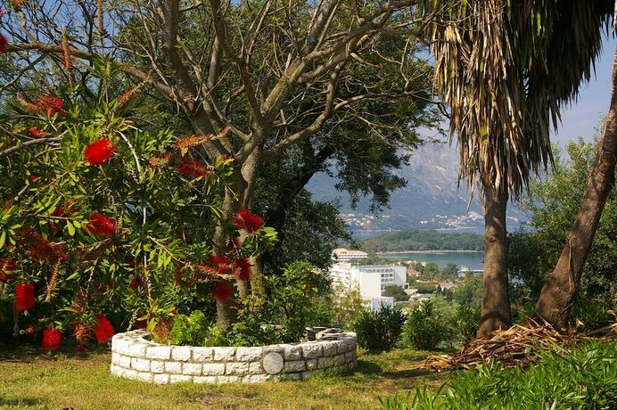 Imagen general del Hotel Marialice Apartments, Corfu. Foto 10
