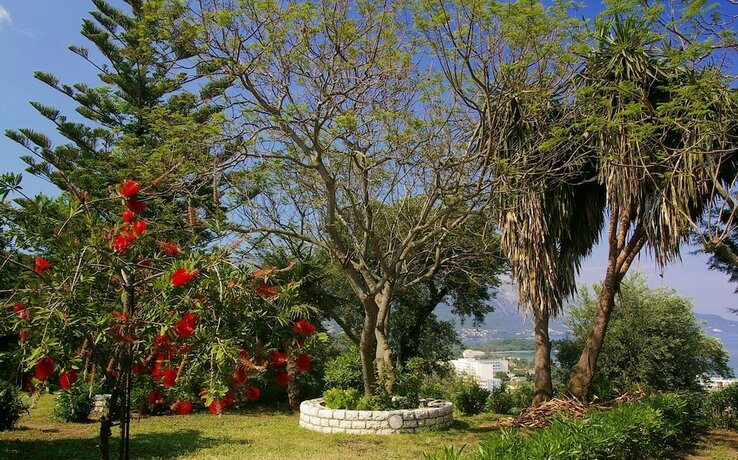 Imagen general del Hotel Marialice Apartments, Corfu. Foto 14