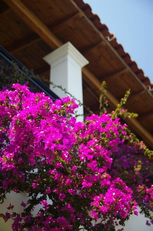 Imagen general del Hotel Marialice Apartments. Foto 10