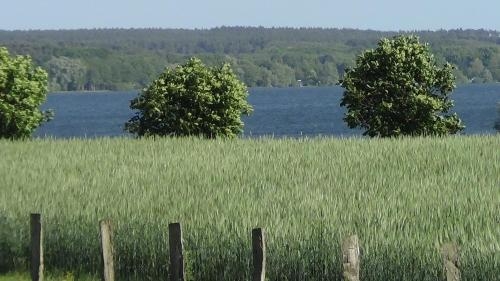 Imagen de la habitación del Hotel Marianne Und Restaurant Kiek In. Foto 10