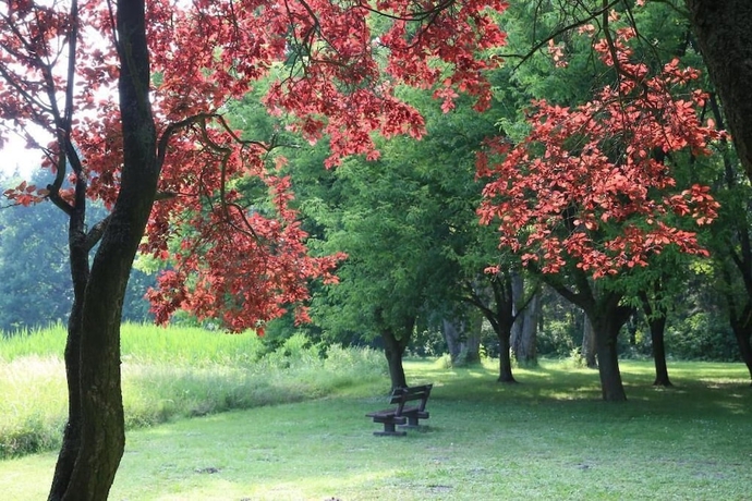 Imagen de los exteriores del Hotel Marienkron. Foto 10