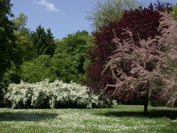 Imagen de los exteriores del Hotel Marienkron. Foto 11