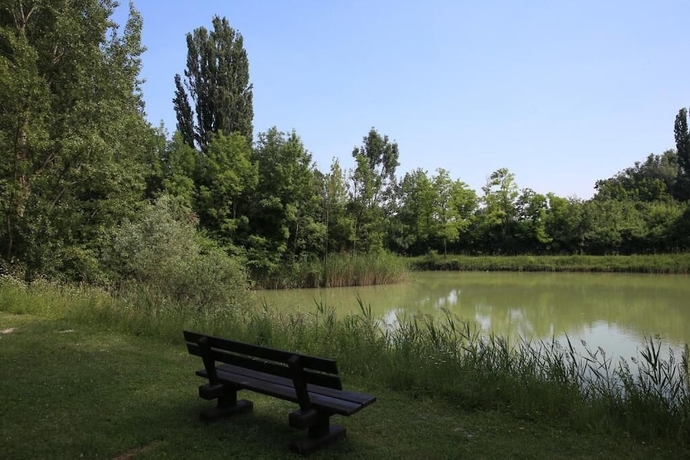 Imagen de los exteriores del Hotel Marienkron. Foto 12