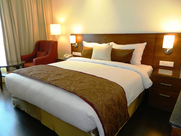 Imagen de los exteriores del Hotel Marigold Jaipur. Foto 12