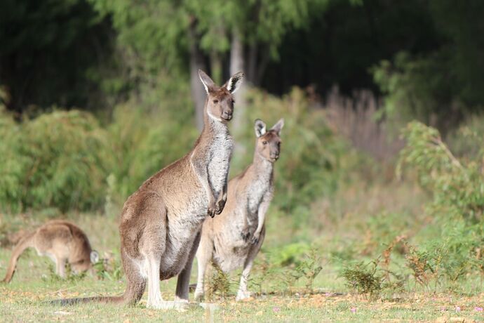 Imagen general del Hotel Marima Cottages. Foto 13
