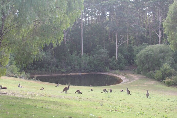 Imagen de la habitación del Hotel Marima Cottages. Foto 15