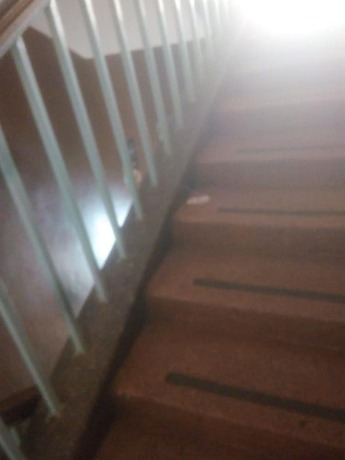 Imagen general del Hotel Marina Guest House. Foto 2