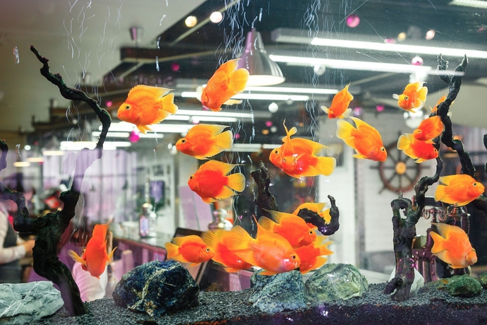 Imagen de los interiores del Hotel Marins Park Nizhny Novgorod. Foto 14